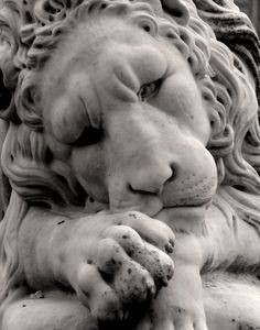 Sleeping Marble Lion